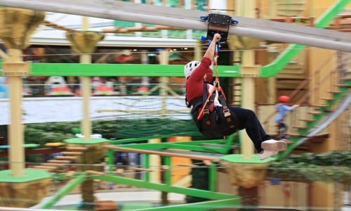 101575096_144393393882956_8490152610404237312_n