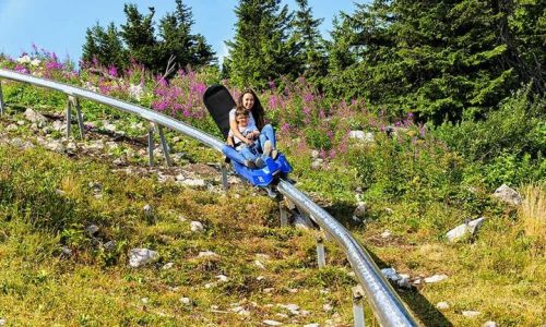 csm_sunkid-alpine-coaster_445dc77151